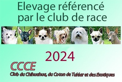 Élevage référencé par le Club De Race